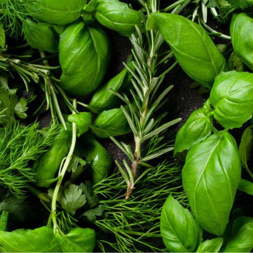 See What Some Herbs, aka Aphrodisiacs, Can Do for You